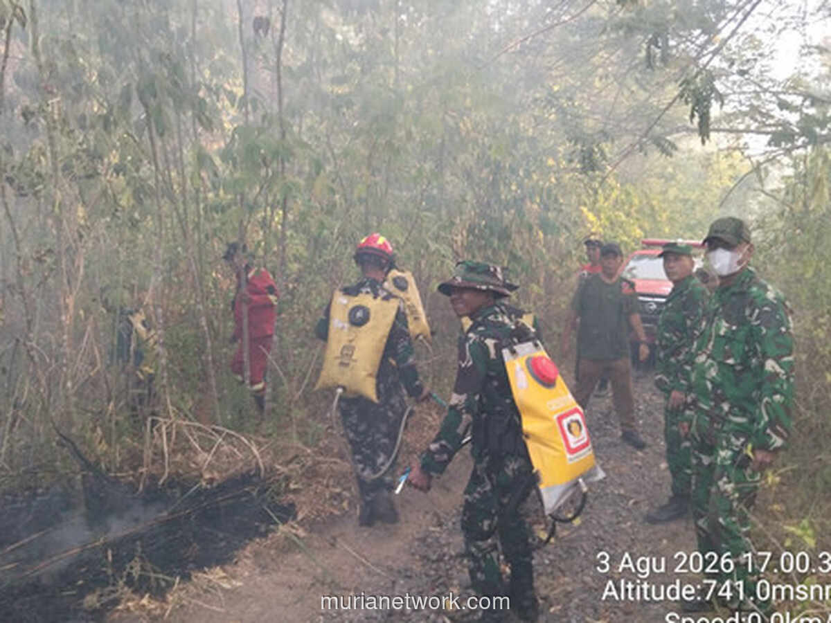 Kebakaran Hutan Gunung Soputan Meluas, Lebih 200 Hektare Terbakar