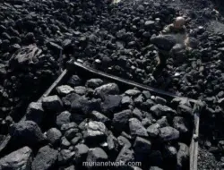 HBA Agustus 2026: Batu Bara Kalori Tinggi Turun, Kalori Sedang dan Rendah Naik