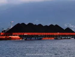 HBA Batu Bara Agustus Turun 5,62 Persen, Royalti Terdampak