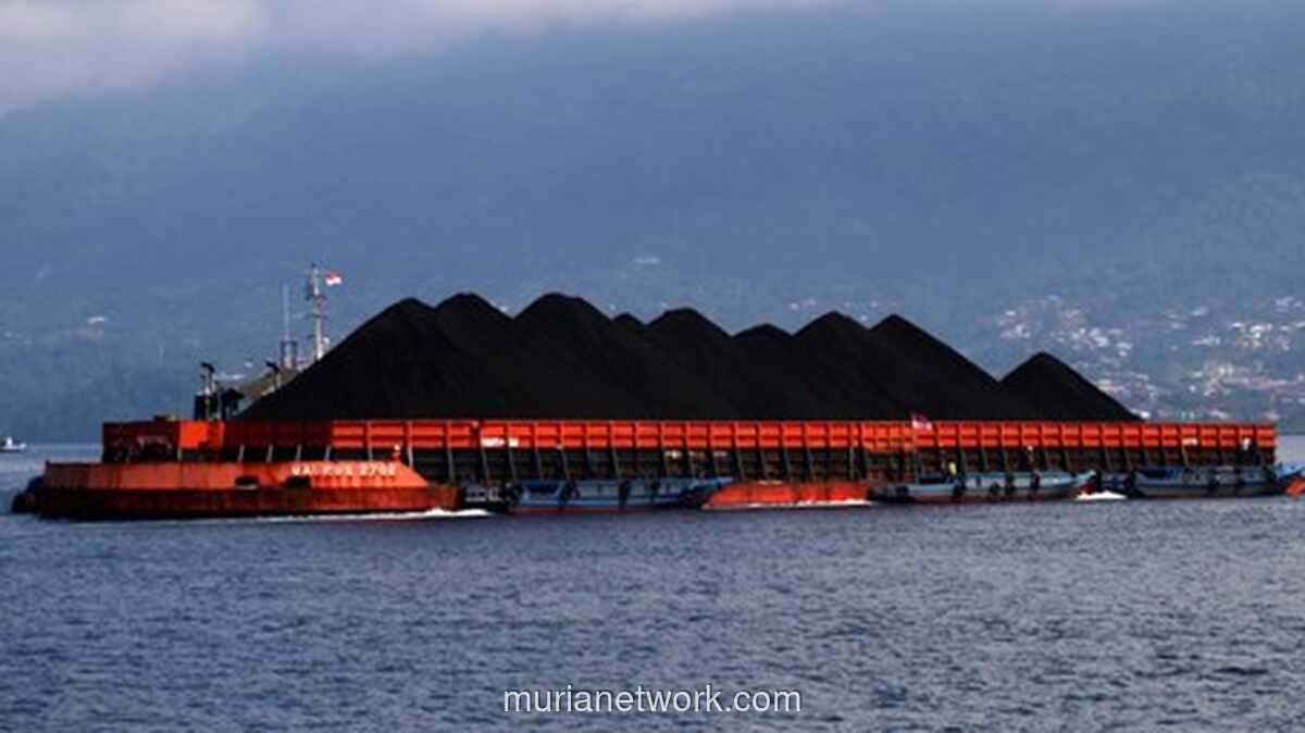 HBA Batu Bara Agustus Turun 5,62 Persen, Royalti Terdampak