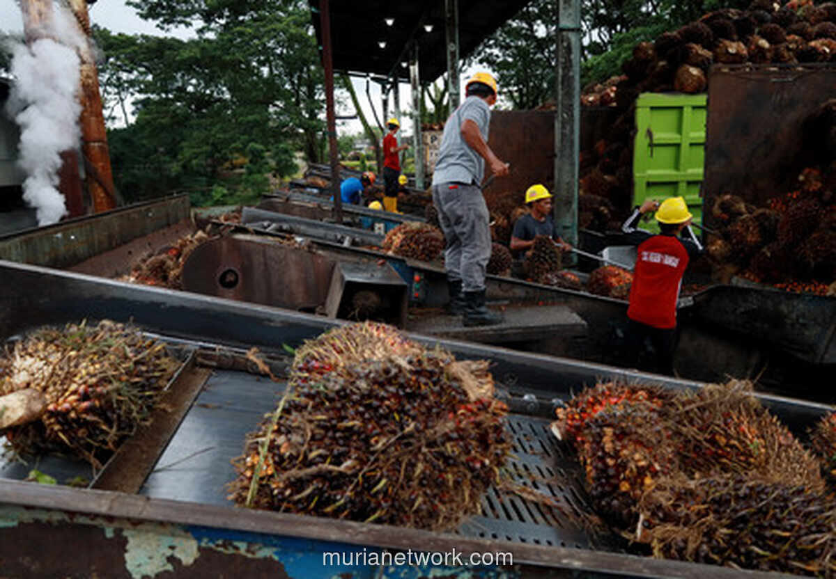 Harga Nikel Menguat, Batu Bara dan CPO Justru Tertekan