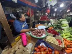 Harga Timun di Jakarta Naik Dua Kali Lipat, Pedagang Kaitkan dengan Program MBG