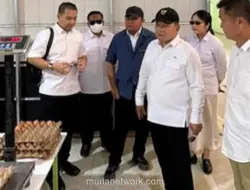 Gubernur Sumsel Tinjau Peternakan Ayam Petelur untuk Dukung Program MBG