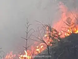 Akses Wisata Gunung Bromo Ditutup Sebagian Akibat Kebakaran Hutan