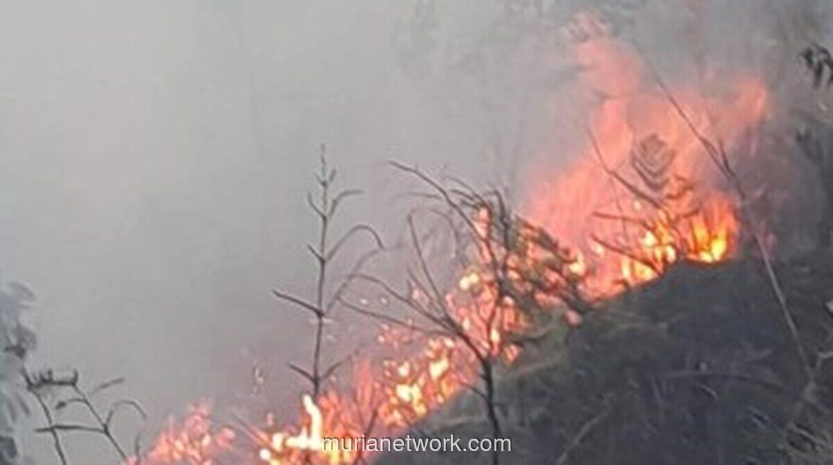 Akses Wisata Gunung Bromo Ditutup Sebagian Akibat Kebakaran Hutan