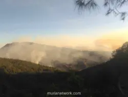 Kebakaran Hutan di Gunung Bromo, Tiga Pintu Masuk Wisata Ditutup