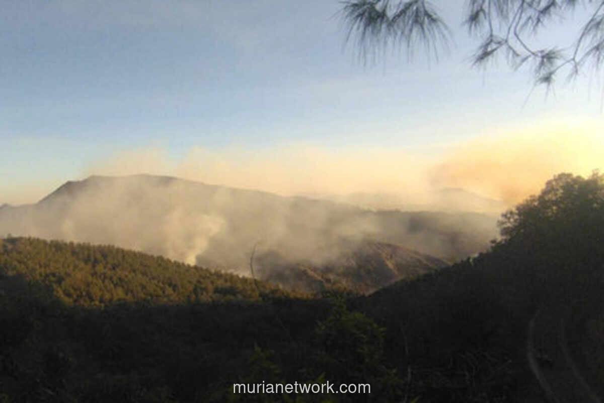 Kebakaran Hutan di Gunung Bromo, Tiga Pintu Masuk Wisata Ditutup