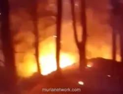 Kebakaran Hutan Pinus Malino Meluas, Tim Gabungan Dikerahkan