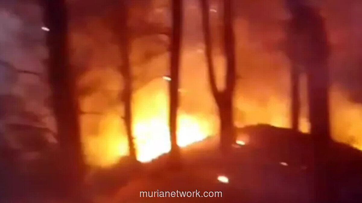Kebakaran Hutan Pinus Malino Meluas, Tim Gabungan Dikerahkan