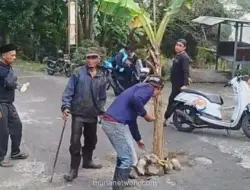 Warga Pacet Tanami Jalan dengan Pohon Pisang, Distribusi MBG Terhambat