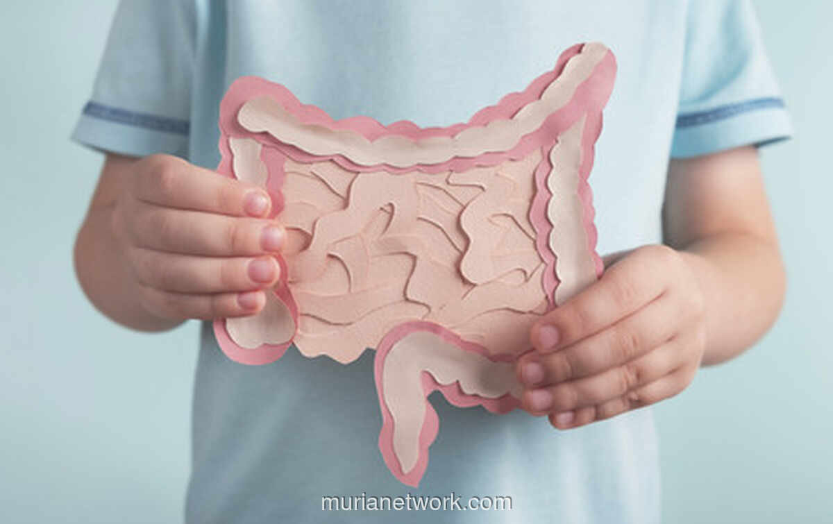 Kesehatan Usus Anak Ternyata Berkaitan dengan Perkembangan Otak dan Perilaku