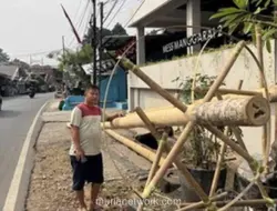 Jualan Batang Pinang di Manggarai, Pedagang Raup Untung Jelang 17 Agustus
