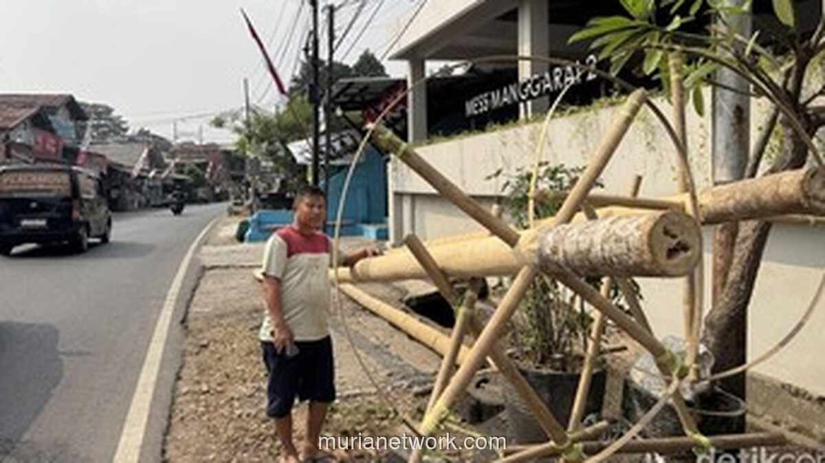 Jualan Batang Pinang di Manggarai, Pedagang Raup Untung Jelang 17 Agustus