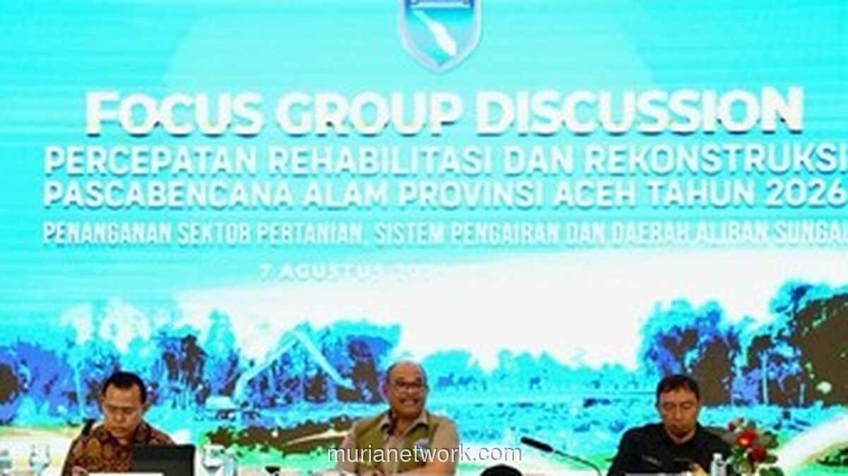 Satgas PRR Percepat Pemulihan 57 Ribu Hektare Sawah Terdampak Bencana di Aceh
