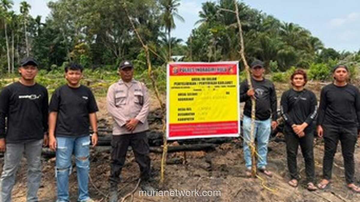 Kakek di Inhu Bakar Lahan untuk Usir Nyamuk, 1,5 Hektare Sawit Hangus