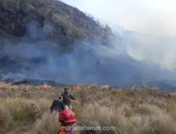 Karhutla Bromo Capai 742,7 Hektare, Kawasan Wisata Ditutup Sementara