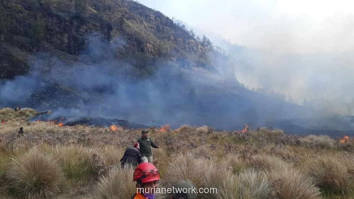 Karhutla Bromo Capai 742,7 Hektare, Kawasan Wisata Ditutup Sementara