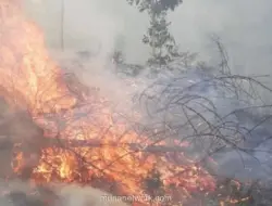 Kebakaran Hutan di Gunung Rinjani Berhasil Dikendalikan, 30 Hektare Terdampak