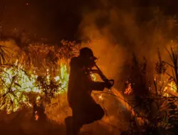 Karhutla di Ketapang Renggut Nyawa Warga yang Terjebak Asap