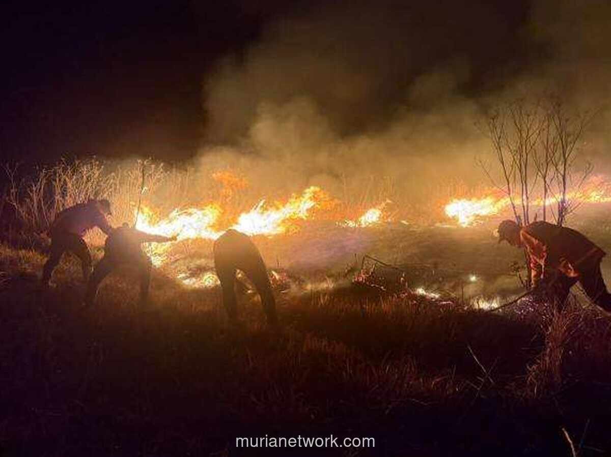 Kebakaran Gunung Bromo Meluas, BNPB Kerahkan Helikopter untuk Pemadaman dari Udara