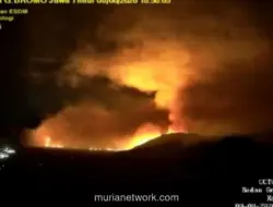 Kebakaran Hutan di Bromo Belum Padam, Status Gunung Tetap Waspada
