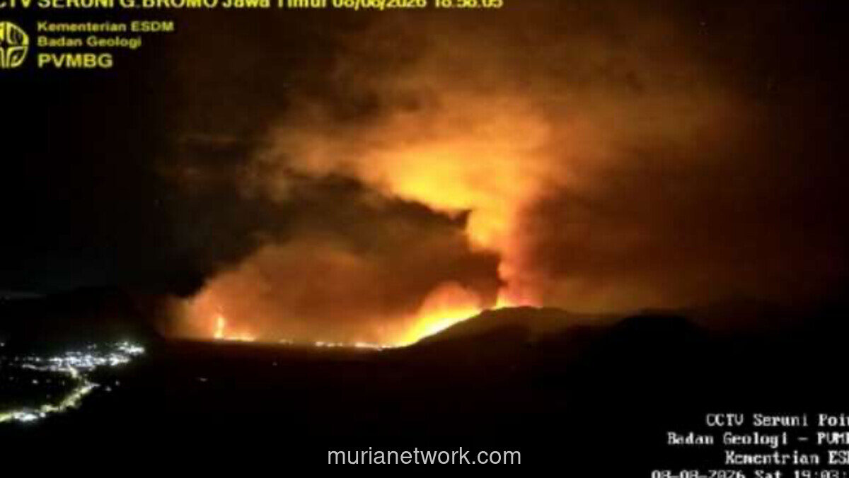 Kebakaran Hutan di Bromo Belum Padam, Status Gunung Tetap Waspada