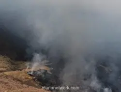 Kebakaran Bromo Meluas, 120 Hektare Terdampak dan Pemadaman dari Udara Disiapkan