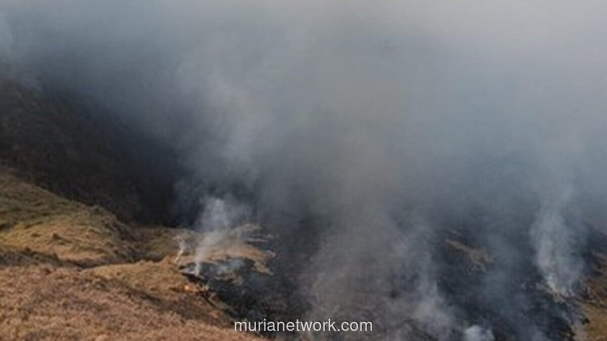 Kebakaran Bromo Meluas, 120 Hektare Terdampak dan Pemadaman dari Udara Disiapkan