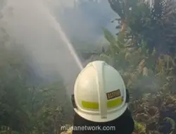 Kebakaran Ilalang Dekat Stasiun Kampung Bandan Padam, Diduga dari Puntung Rokok