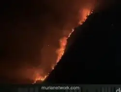 Karhutla Bromo Meluas, 942 Hektare Lahan Hangus