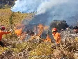 Kebakaran Bromo Meluas, 51 Hektare Lahan Terbakar