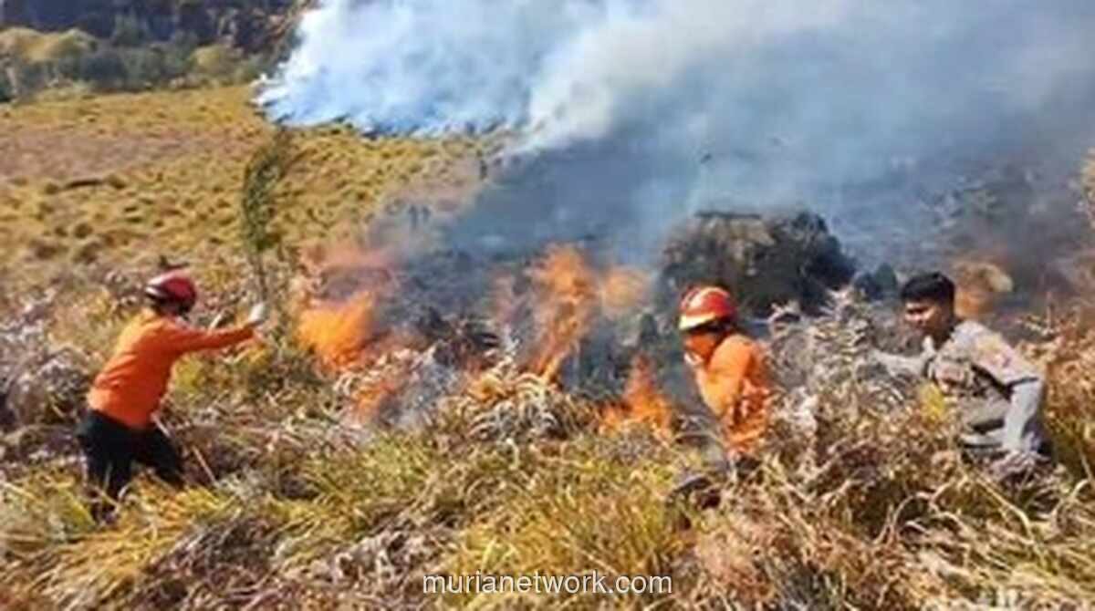 Kebakaran Bromo Meluas, 51 Hektare Lahan Terbakar
