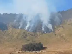 Kebakaran di TNBTS Hari Kedua, Petugas Kesulitan Jangkau Titik Api di Tebing Curam