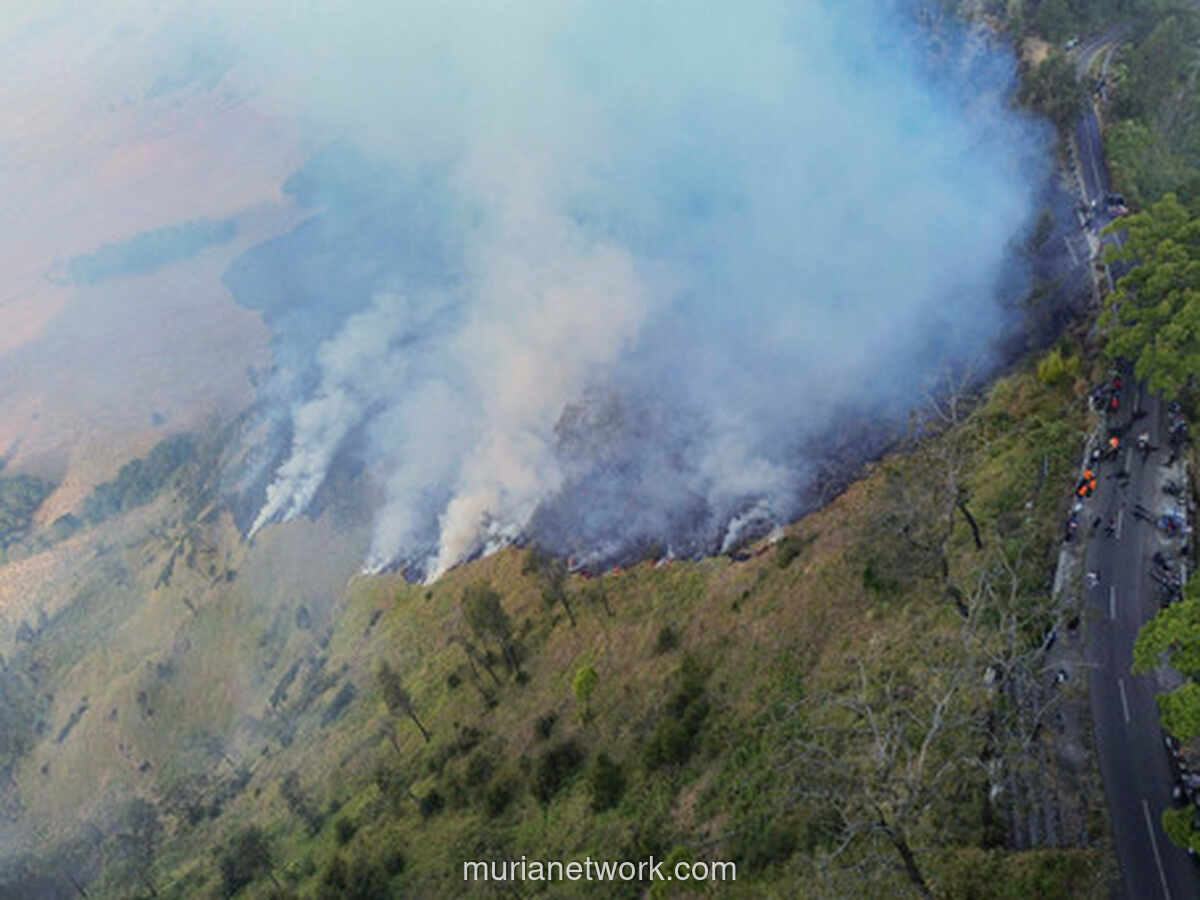 Kebakaran Hutan di Bromo Meluas, 70 Hektare Terbakar