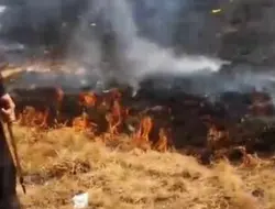 Relawan dan Polisi Berjibaku Padamkan Kebakaran di Gunung Gede Pangrango