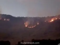 Kebakaran Hutan di TNBTS Meluas ke Savana Gunung Bromo