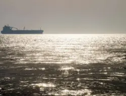 Kapal Berbendera India Tenggelam di Laut Merah, Yaman Tuding Houthi