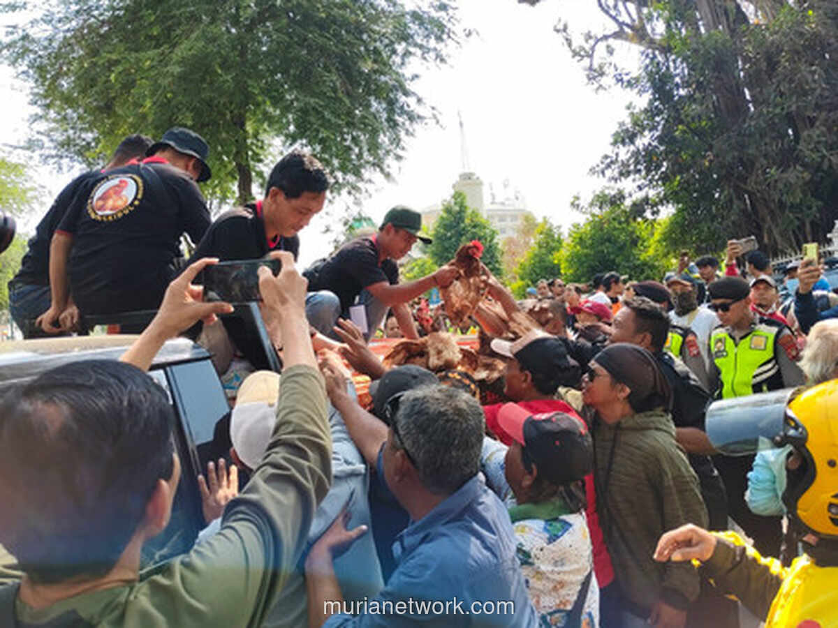 Peternak Yogyakarta Bagikan Ribuan Ayam dan Telur di Malioboro, Protes Harga Pakan Melonjak