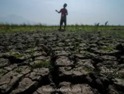 El Nino 2026 Diproyeksikan Kuat, Pemerintah Siapkan Antisipasi