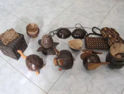 Limbah Batok Kelapa Disulap Jadi Bra, Tembus Pasar Jamaika