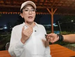 Kasus Pilot Malaysia Airlines, Rieke Soroti Penguatan Tata Kelola Keimigrasian