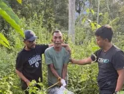Kurir Ganja 6 Kg di Aceh Diciduk, Barang Disembunyikan di Semak