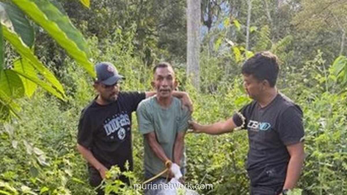 Kurir Ganja 6 Kg di Aceh Diciduk, Barang Disembunyikan di Semak