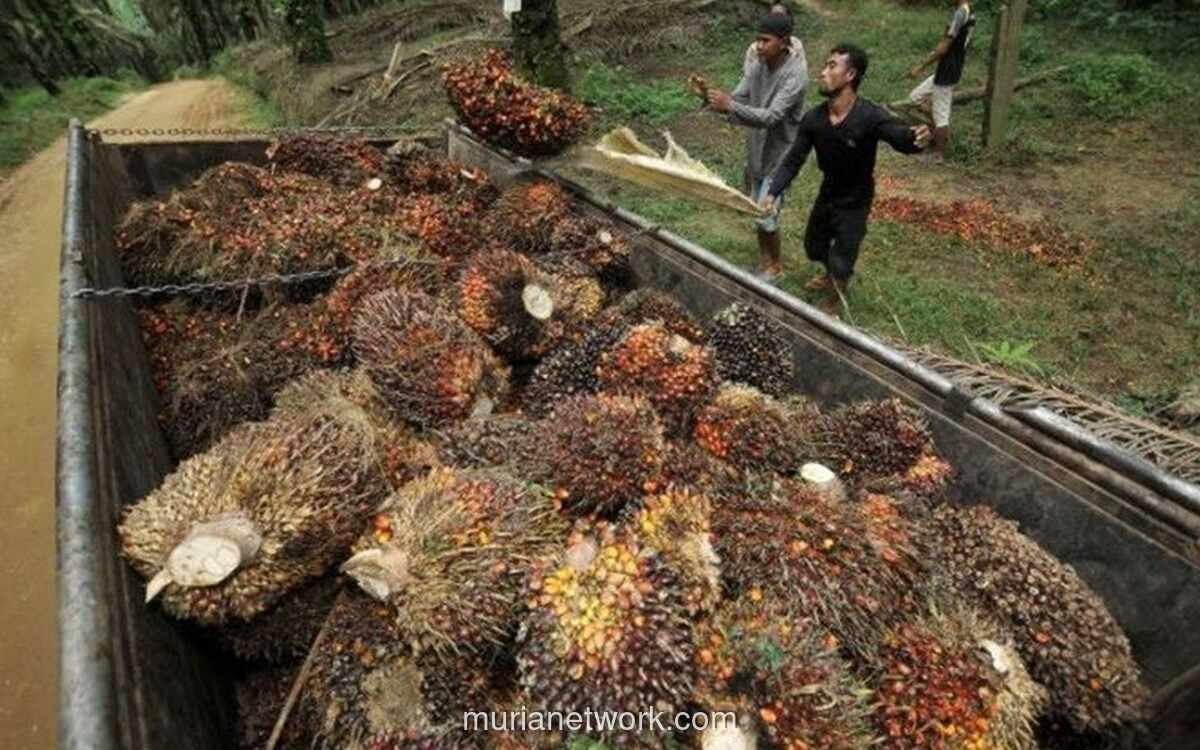 Laba BWPT Naik 16% Jadi Rp215 Miliar pada Semester I-2026