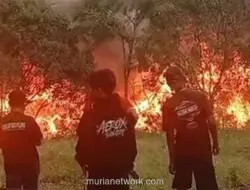 Kebakaran Lapak Rongsokan di Citereup, Empat Unit Damkar Dikerahkan