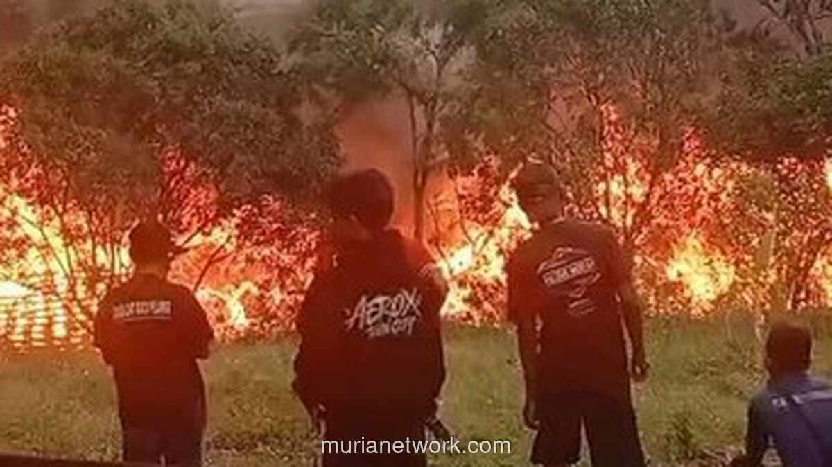 Kebakaran Lapak Rongsokan di Citereup, Empat Unit Damkar Dikerahkan