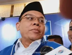 PAN Nilai Usulan Pilkada Tanpa Wakil Perlu Dikaji Mendalam