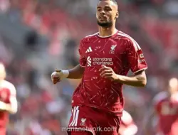 Liverpool Patok Harga Gakpo 160 Juta Dolar di Tengah Minat Tottenham