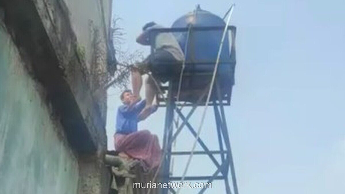 Mahasiswa KKN Tersetrum saat Menguras Toren di Tangerang