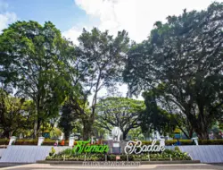 Pemkot Bandung Naikkan Status Penebangan 10 Pohon di Jalan Riau ke Dugaan Tindak Pidana